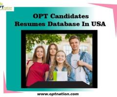 OPT Candidate Resumes Database in USA