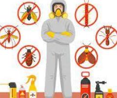 Chennai Pest Control