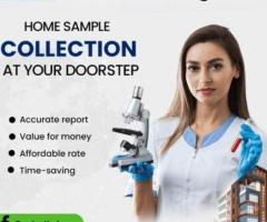 Home Sample Collection Near You by RML Pathology - Best Pathology Lab in Lucknow