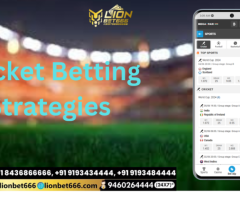 Mastering Cricket Betting: Strategies for 2024 and Beyond