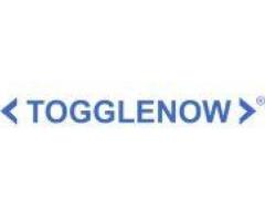 SAP Global Strategic Services Partner | SAP Consulting, Implementation, Support Services | ToggleNow