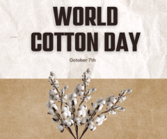 Celebrating World Cotton Day 2024: know it’s History, significance