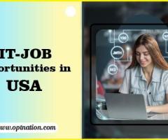 Unlocking IT Job Opportunities in the USA: Skills and Roles for Growth