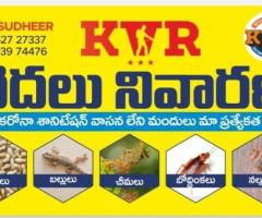 KVR SERVICES